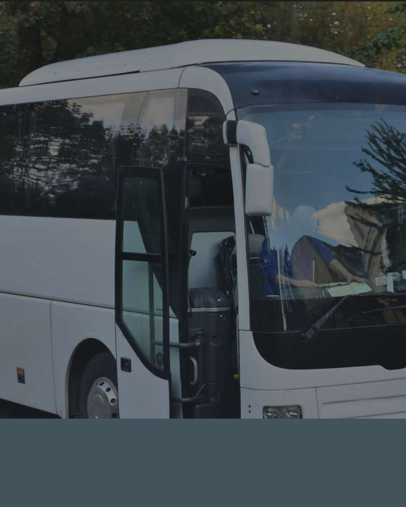 Free special buses Free special buses