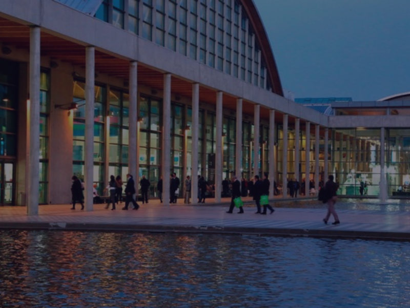 IMMAGINI E FOTO IMMAGINI E FOTO